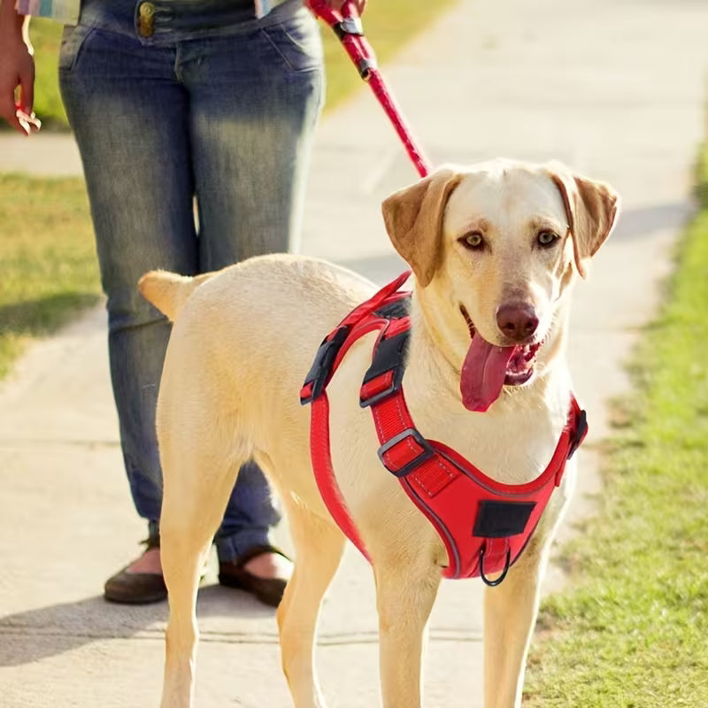 Anti-leak breathable back chest harness